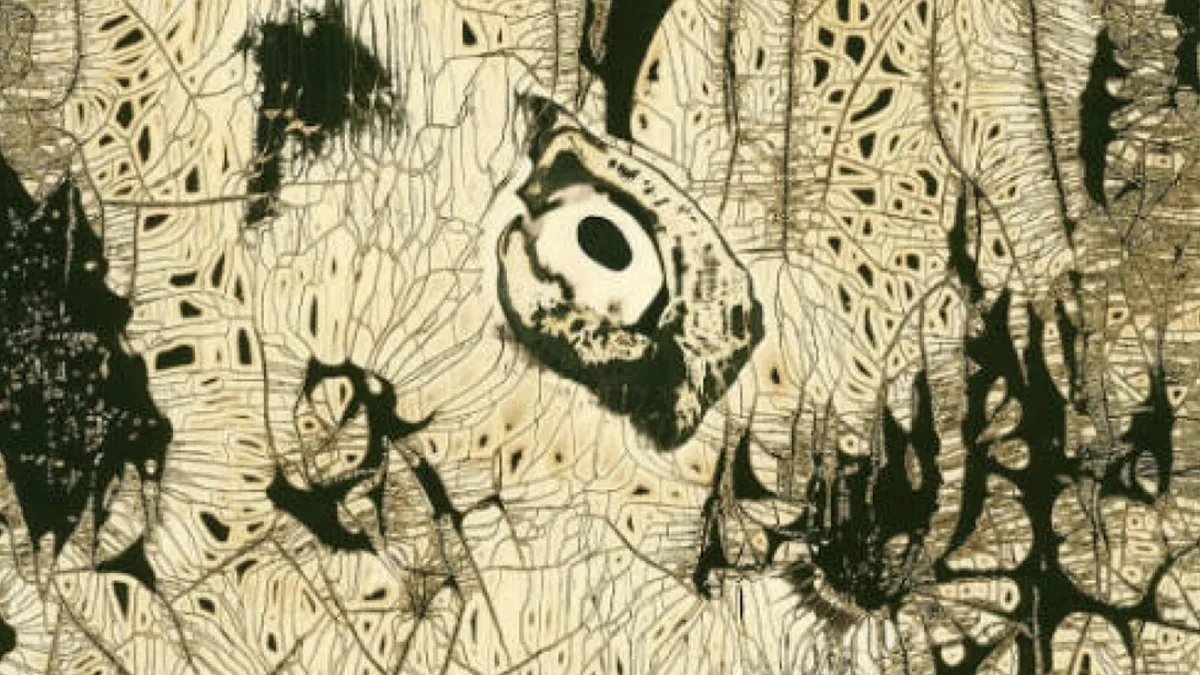 Last day to see Getting Technical: Alternative Photographic Processes